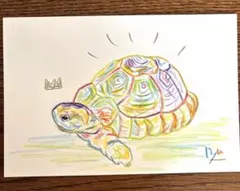 亀　絵画　ドローイング