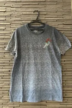 Hollister Tシャツ Sサイズ
