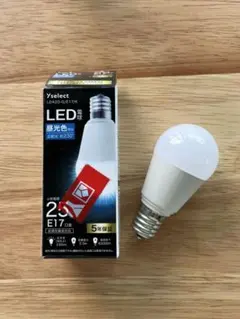 YselectのLED電球