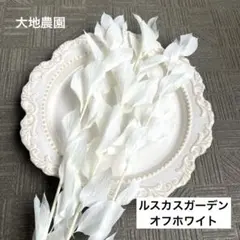 mayufuji ♡空花♡様　ご専用