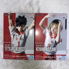 ka.na様専用　ハイキュー!! 黒尾鉄朗 & 弧爪研磨　ポージング