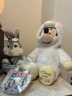 ディズニーストア福袋2026 3点セット