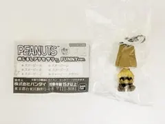 PEANUTS めじるしアクセサリー FUNNY ver. チャーリー・ブラウン
