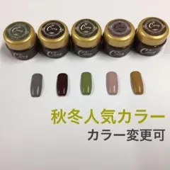 【カラー変更可】人気カラー③ カラージェル ジェルネイル まとめ売り