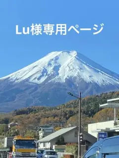 Lu様専用ページ