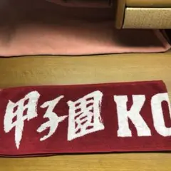 Item thumbnail for item 2074de4a-4c41-4aa4-b604-3dbab8f7e1d8