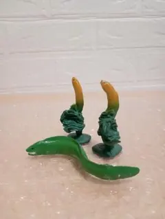 めろ様ご専用♡海洋生物♡ウツボ等まとめ売り