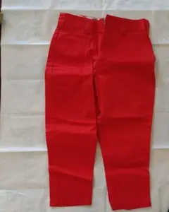 Dickies ワークパンツ オレンジ