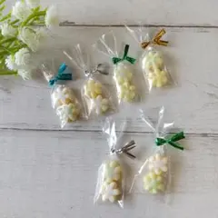 袋入 ミニチュア #1152 　　　　　　　　アイシングクッキー 6個