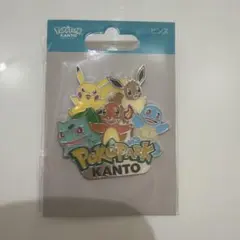 【新品】ポケパークカントー 限定 オープン記念 ピンズ