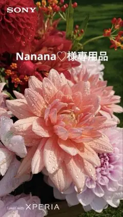Nanana♡様専用品