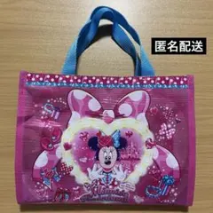 ミニーのファンダーランド パルパルーザ チョコレート　袋のみ　ミニー　バッグ