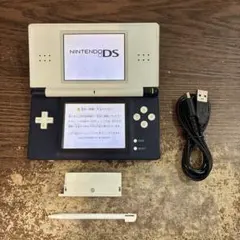 ☆充電器付き☆ニンテンドーDS Lite ホワイト×ネイビー