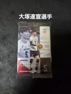 バレー 男子日本代表 ウエハース 2026 大塚達宣