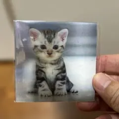 Item thumbnail for item 5768445e-14c4-4be3-8f75-29e2a3801e9f