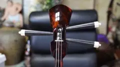 Item thumbnail for item 5d29422b-1e5e-44cf-98d8-c7f1648433db