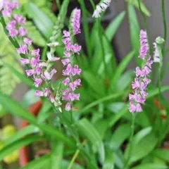 へのかっぱ様 リクエスト 2点 まとめ商品