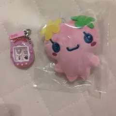 ふらわっち セット