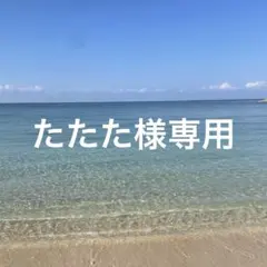 【たたた様専用】AppleWatchケース