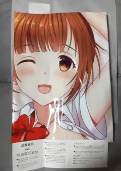 アイドルマスター　浮き輪　希少品 アイドルマスター 浮き輪 希少品