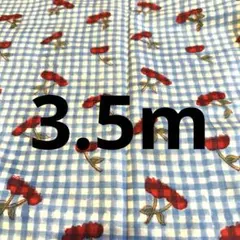 リナのクラゲ様 リクエスト 2点 まとめ商品