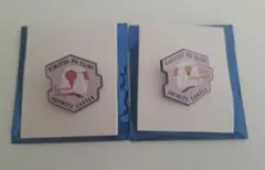 鬼滅の刃 無限城編　キャラクターモチーフピンズ　第一弾