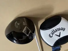 Item thumbnail for item 1280a5d3-ccf0-4ec2-9d5f-146fe35f2c21