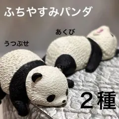 Item thumbnail for item 80405912-4631-4f92-9066-642027b5ee6f