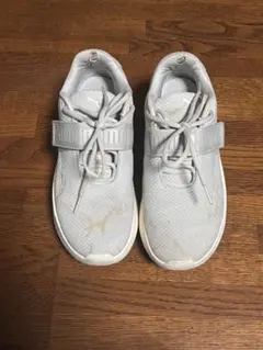 Item thumbnail for item 089bd78b-7a5a-497f-bdb2-0a839abd4876