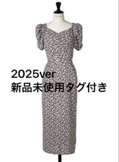 2026年最新】herlipto ワンピース チェリーの人気アイテム - メルカリ