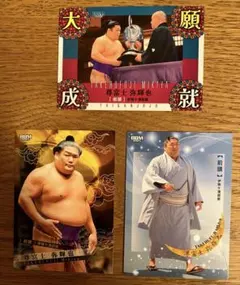 大相撲カード　尊富士関3枚セット