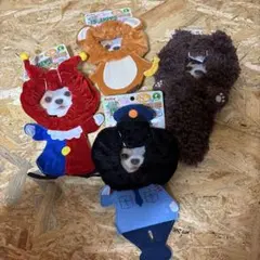 犬服 犬用品 コスプレ コスチューム ハロウィンSサイズ セット