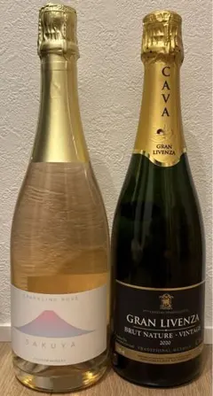 Item thumbnail for item b41bc35c-34cb-439c-bfdd-865d7db2e253