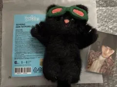 BOYNEXTDOOR テサン ハンテップン ぬいぐるみ キーリング ボネクド