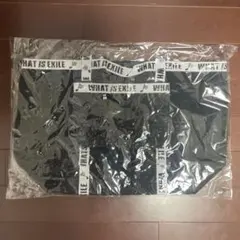 非売品】ケツメイシ リバーシブルキャンプクッション 2個セッ - メルカリ