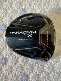 2025年最新】パラダイムx ヘッドのみの人気アイテム - メルカリ