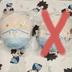 ハイキュー　くじメイト　ぬいくじ　D賞　星海光来