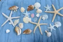 結婚式　ウェルカムスペースセット イーゼル５個　額縁３個　花びら/貝殻　ライト