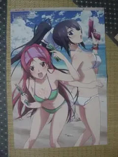 IS <インフィニット・ストラトス>、偽物語 両面ピンナップポスター