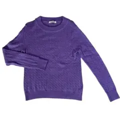 フィルグランデ　ケーブル網ニット明るい紫　38( M サイズ)　クルーネック