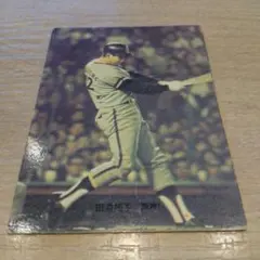 y*i様 カルビープロ野球カード1973年 No107 旗版 田淵(阪神)