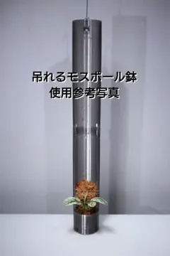 吊りモスポール鉢　全長40cm スキンダプサス最適　モスポール　クリアグレーのサムネイル
