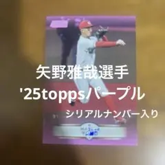 toppsカード 矢野雅哉選手 '25パープル(シリアルナンバー入り)のサムネイル