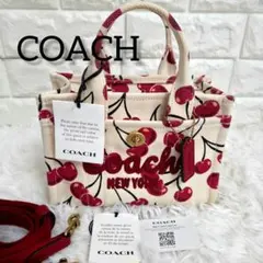 2026年最新】coach チェリーの人気アイテム - メルカリ