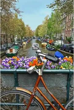 Item thumbnail for item 00d99bfd-47cc-476c-b9c5-f0c0bd047516