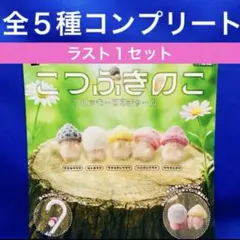2026年最新】アミガサタケの人気アイテム - メルカリ