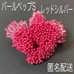 花材・フラワーペップ・パールペップS・レッドシルバー3束セット