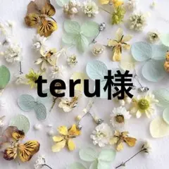 teru様 リクエスト 2点 まとめ商品