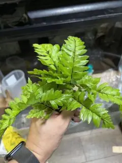 ミミパンダ様 リクエスト 2点 まとめ商品