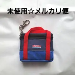 未使用❗　コストコ COSTCO　保冷バック型　エコバッグのサムネイル